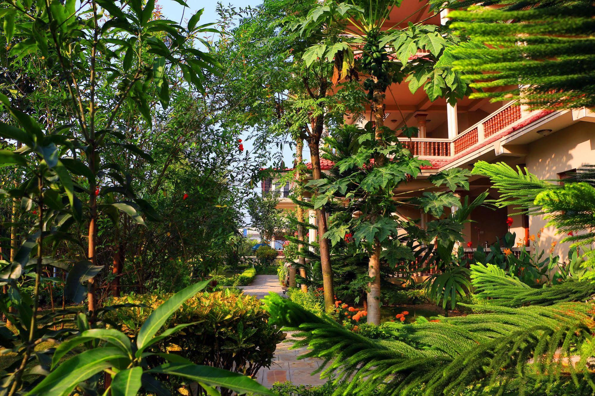 Hotel Royal Safari Sauraha Dış mekan fotoğraf