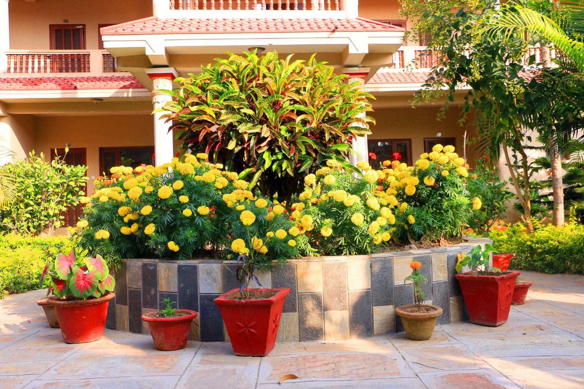 Hotel Royal Safari Sauraha Dış mekan fotoğraf